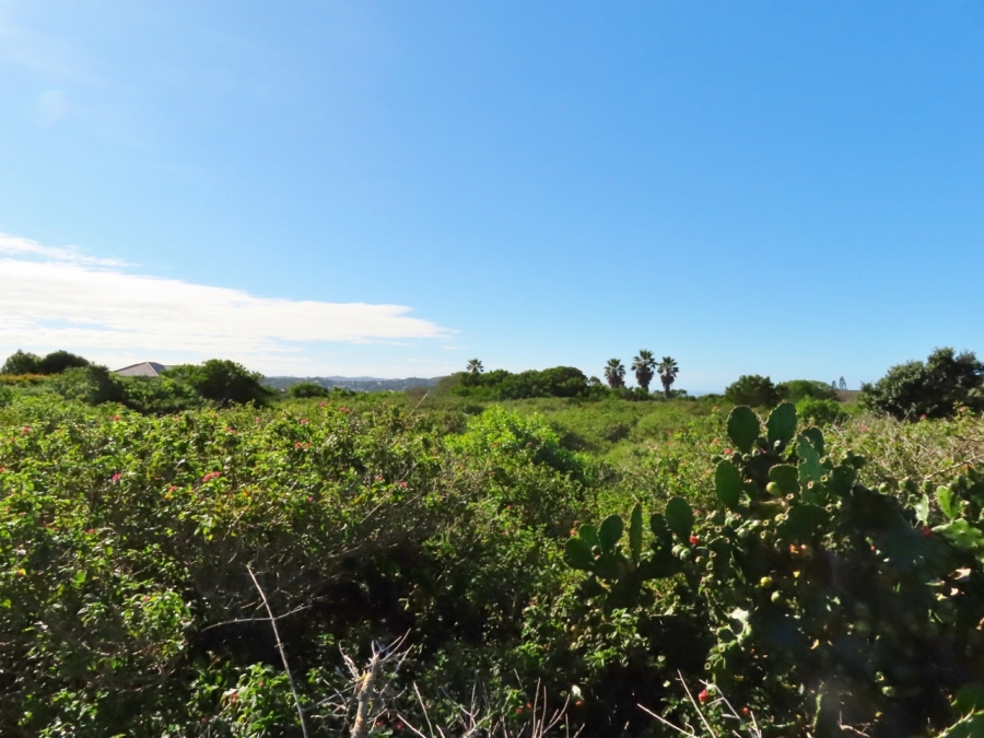 0 Bedroom Property for Sale in Forest Downs Eastern Cape